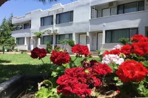 Kum Hotel, Eceabat