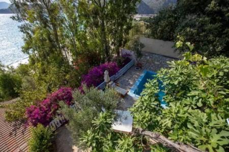 Beyaz Yunus - Adult Only - 100