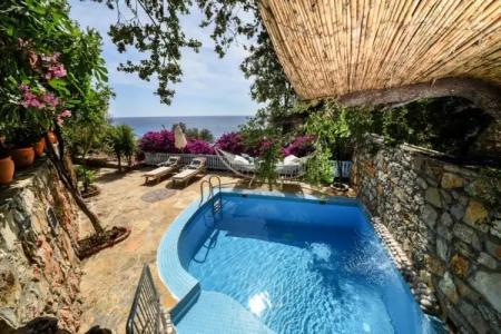 Beyaz Yunus - Adult Only - 101