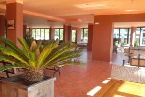 La Piazza Rooms & Apartments, Primorsko
