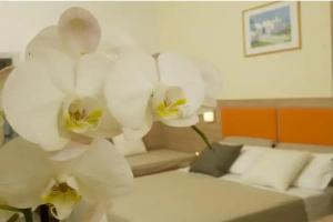 Hotel Consuelo, Riccione