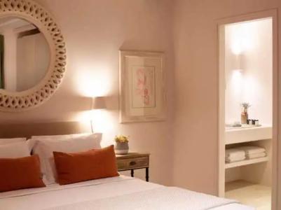 Aeolis Tinos Suites - 116