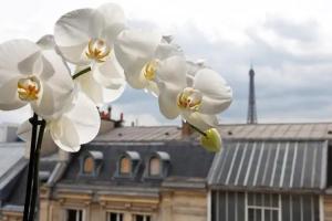 La Tremoille Hotel, Paris