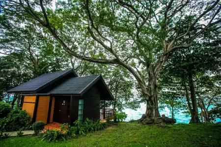 Phi Phi Holiday Resort-SHA Extra Plus - 33
