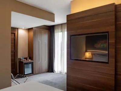 Holiday Inn Istanbul - Kadikoy, an IHG - 121