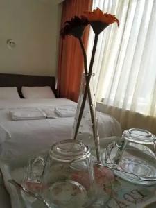 Puffin Suites - 151