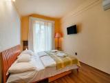 Standard Double room with balcony and with mountain view