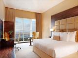 1 Bedroom Suite with city view