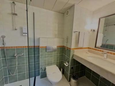 Best Western Plus Khan - 110