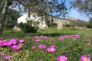 Farm Stay «B&B La MeSenda», Arzachena