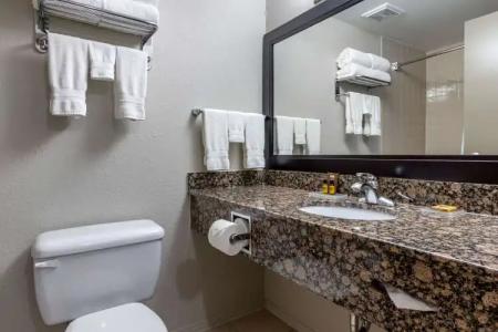 Best Western Plus Pembina Inn & Suites - 49