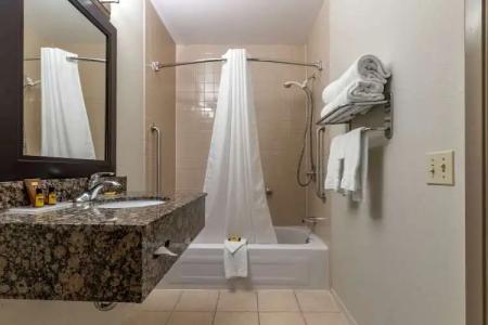 Best Western Plus Pembina Inn & Suites - 8