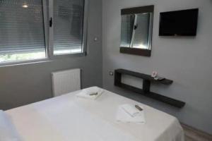 Silver House Hostel, Cacak