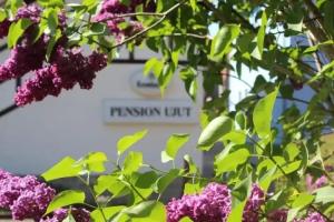Pension Ujut, Bad Langensalza