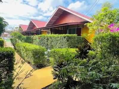 Lanta for Rest Boutique - 123