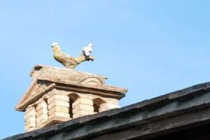 Agriturismo Colle Pu Farm