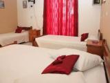 Basic Triple room