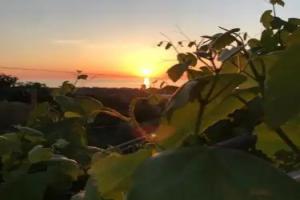 BB Il Tramonto Mini-hotel, Capo d'Orlando