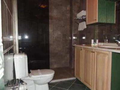 Mavi Inci Park Otel - 143