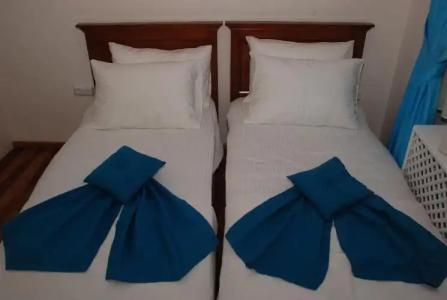 Mavi Inci Park Otel - 132