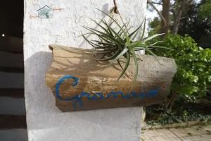 Bed & Breakfast «Giardino Nascosto», Taviano