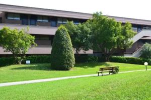 Apartments Via Dei Platani, Marina di Bibbona