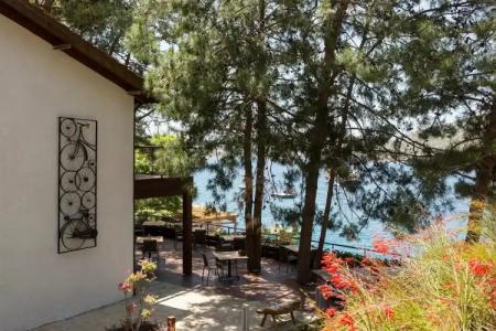 Miamai Boutique - Adult Only - 20