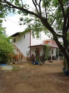 Villa Bilge - 23