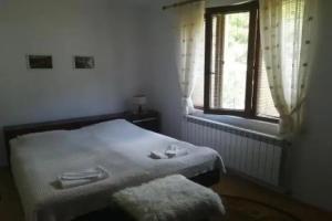 Hotels