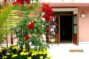 Hotel Tarfa, Lozenets