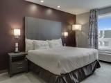 Business Suite