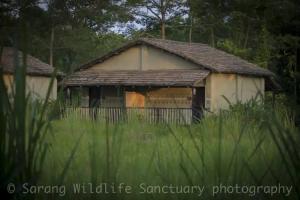 Sarang Wildlife Sanctuary, Meghauli