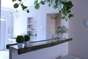 B&B Nannalia, Marina di Carrara
