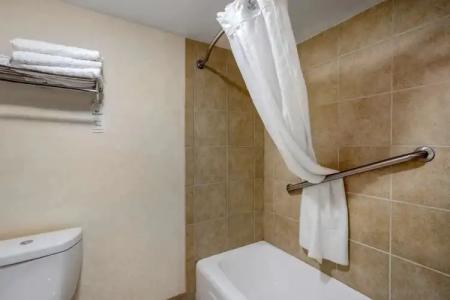 Best Western Inn of the Ozarks - 50