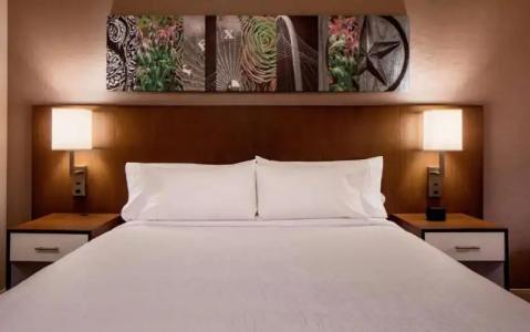 Hilton Garden Inn Downtown Dallas - 36