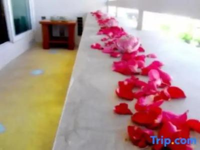 The Garden Place Pattaya - 110