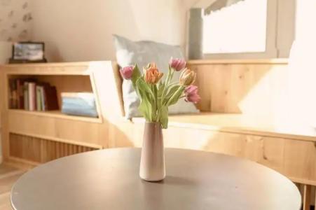 Strandhaus Ahrenshoop - 39