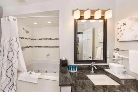 Best Western Plus Milwaukee West - 60