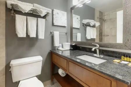 Best Western Plus Milwaukee West - 52