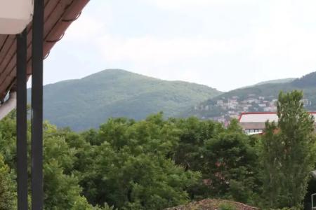 Lena Central Flats - 17