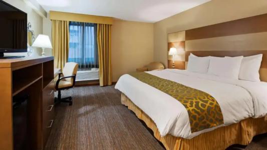 Best Western Queens Court - 4