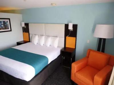Best Western Plus Kissimmee-Lake Buena Vista South Inn & Suites - 22