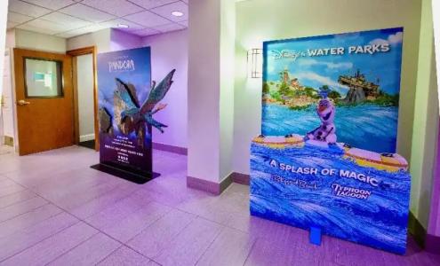 Best Western Plus Kissimmee-Lake Buena Vista South Inn & Suites - 40