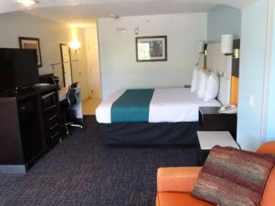 Best Western Plus Kissimmee-Lake Buena Vista South Inn & Suites - 32