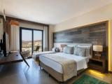 Superior Double room with land view
