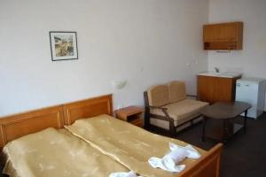 Hotel Plavis, Tryavna