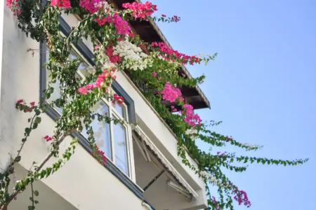 Kaya Apart Datca - 58