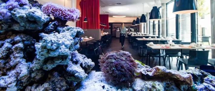 sevenDays BoardingHouse - 9