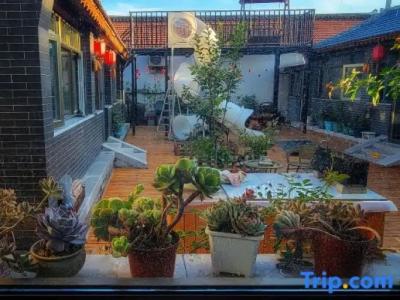 Orchid Residence Suratthani - 186