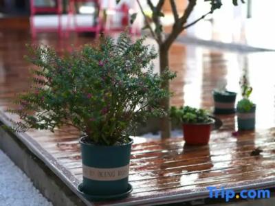 Orchid Residence Suratthani - 194